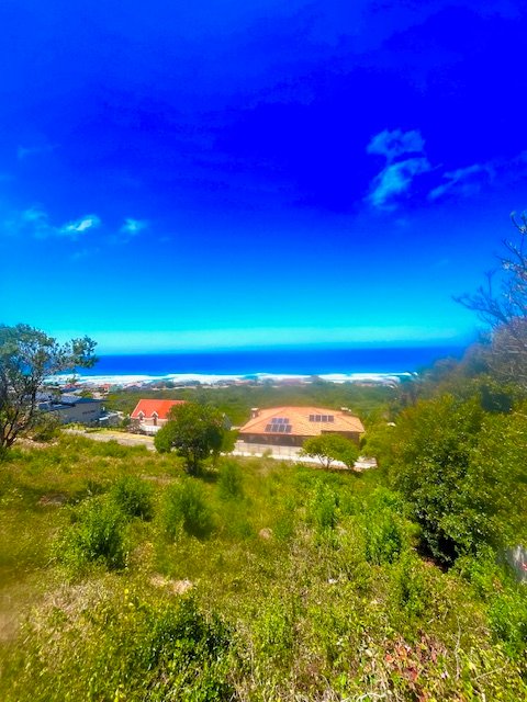 Commercial Property for Sale in Outeniqua Strand Western Cape